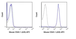 Anti-CD45.1 antibody [A20] (APC) used in Flow cytometry (FCM). GTX01463-07