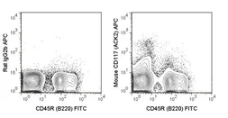 Anti-c-Kit antibody [ACK2] (APC) used in Flow cytometry (FCM). GTX01469-07