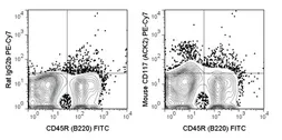 Anti-c-Kit antibody [ACK2] (PE-Cy7) used in Flow cytometry (FCM). GTX01469-10