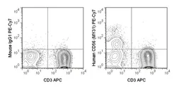 Anti-NCAM antibody [MY31] (PE-Cy7) used in Flow cytometry (FCM). GTX01477-10