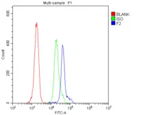 Anti-Prothrombin antibody used in Flow cytometry (FCM). GTX03694