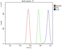 Anti-IL18 antibody used in Flow cytometry (FCM). GTX03734