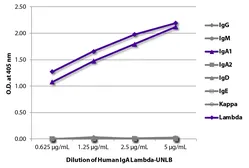 Human IgA1 isotype control. GTX03791 Human IgA1 isotype control. GTX03791