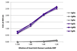 Goat Anti-Human lambda light chain antibody, pre-adsorbed (HRP). GTX04133-01