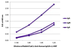 Rabbit Anti-Human IgG antibody, F(ab')2 fragment, pre-adsorbed (HRP). GTX04154-01