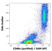 Anti-CEACAM6 antibody [B6.2] used in Flow cytometry (FCM). GTX04601