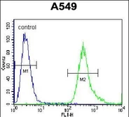 Anti-SLC25A6 antibody used in Flow cytometry (FCM). GTX05019