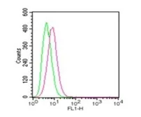 Anti-TLR4 antibody used in Flow cytometry (FCM). GTX13556