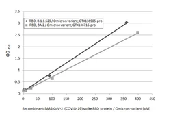 SARS-CoV-2 (COVID-19) Spike RBD Protein, Omicron / BA.1 variant, His tag. GTX136716-pro