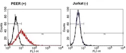 Anti-TCR gamma + delta antibody [5A6.E9] used in Flow cytometry (FCM). GTX15594