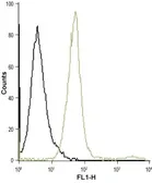 Anti-Orai1 antibody used in Flow cytometry (FCM). GTX16613