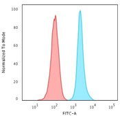 Anti-Ki67 antibody [MKI67/2462] used in Flow cytometry (FCM). GTX17971