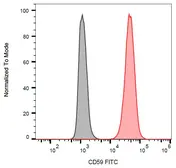 Anti-CD59 antibody [MEM-43] (FITC) used in Flow cytometry (FCM). GTX18237