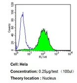 Anti-PPAR alpha antibody [3B6/PPAR] used in Flow cytometry (FCM). GTX22779