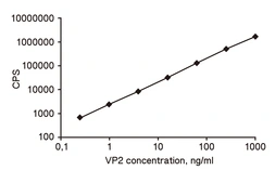 Anti-Canine parvovirus VP2 antibody [5G7] used in Sandwich ELISA (Sandwich ELISA). GTX28264