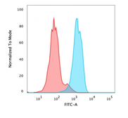 Anti-FOXA1 antibody [FOXA1/1518] used in Flow cytometry (FCM). GTX34739