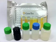 MIP3 alpha ELISA Kit. GTX37107