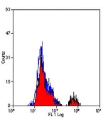 Anti-Fc epsilon R1 alpha antibody [9E1] used in Flow cytometry (FCM). GTX41157