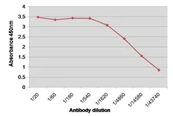 Anti-Factor VIII antibody [RFF-VIIIC/8] used in ELISA (ELISA). GTX41178