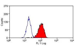 Anti-NOX2 / gp91phox antibody [NL7] used in Flow cytometry (FCM). GTX41564