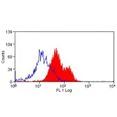 Anti-CD98 antibody [H202-529.4.1.4] used in Flow cytometry (FCM). GTX41741