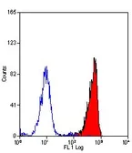 Anti-C5a R1 antibody [10/92] used in Flow cytometry (FCM). GTX41773