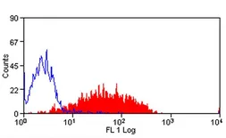 Anti-CD62P antibody [Psel.KO.2.5] used in Flow cytometry (FCM). GTX41882