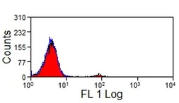 Anti-NKp46 antibody [AKS1] (Low endotoxin, azide free) used in Flow cytometry (FCM). GTX42066