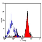 Anti-CD151 antibody [11G5a] used in Flow cytometry (FCM). GTX42394