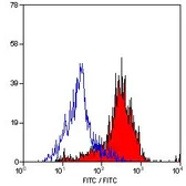 Anti-MSR1 antibody [2F8] (FITC) used in Flow cytometry (FCM). GTX43697