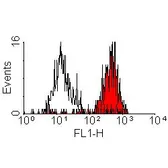 Anti-CD11b antibody [CC126] (FITC) used in Flow cytometry (FCM). GTX43767