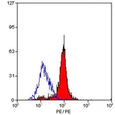 Anti-Dectin-1 antibody [2A11] (Biotin) used in Flow cytometry (FCM). GTX43894