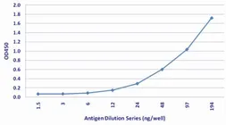 Anti-Cryptococcus neoformans antibody [439] used in ELISA (ELISA). GTX44030