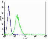 Anti-Casein Kinase I gamma 3 antibody used in Flow cytometry (FCM). GTX53489
