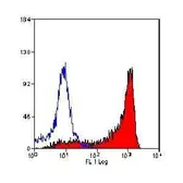 Anti-CD11b antibody [OX-42] (Biotin) used in Flow cytometry (FCM). GTX53827