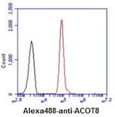 Anti-ACOT8 antibody [AT4D10] used in Flow cytometry (FCM). GTX57615