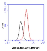 Anti-IMPA1 antibody [AT2G5] used in Flow cytometry (FCM). GTX57655