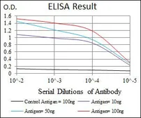 Anti-PTK9 antibody [7C11] used in ELISA (ELISA). GTX60638
