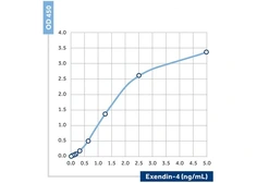 Anti-GLP1 antibody [10] used in ELISA (ELISA). GTX60952