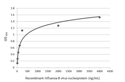 Anti-Influenza B virus Nucleoprotein antibody [GT371] used in ELISA (ELISA). GTX629882