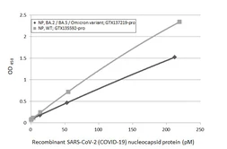 Anti-SARS-CoV-2 (COVID-19) Nucleocapsid antibody [HL448] (HRP) used in ELISA (ELISA). GTX635686-01