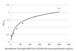Anti-SARS-CoV-2 (COVID-19) Nucleocapsid antibody [HL448] used in ELISA (ELISA). GTX635686