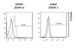 Anti-CD34 antibody [HL1895] used in Flow cytometry (FCM). GTX637644