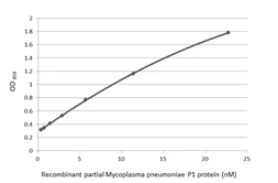 Anti-Mycoplasma pneumoniae P1 protein antibody [GT50] used in ELISA (ELISA). GTX641374