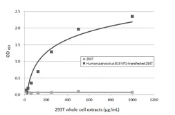 Anti-Human parvovirus B19 VP1 antibody [HL5712] used in ELISA (ELISA). GTX646543