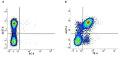 Anti-CD40 antibody [3/23] (PE) used in Flow cytometry (FCM). GTX74690