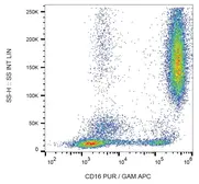 Anti-CD16 antibody [LNK16] used in Flow cytometry (FCM). GTX74720