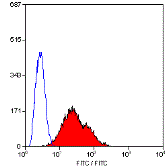 Anti-CD28 antibody [JJ319] (FITC) used in Flow cytometry (FCM). GTX74892