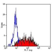 Anti-Integrin alpha 6 antibody [450-30A] used in Flow cytometry (FCM). GTX75046