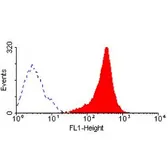 Anti-Fas antibody [LOB 3/17] (FITC) used in Flow cytometry (FCM). GTX75107